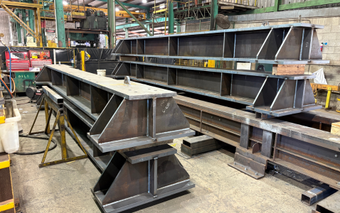 Grizzlies for Evolution Mining